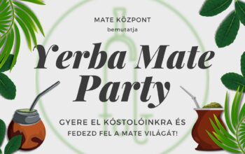 Yerba Mate Party / Mate kóstoló a Foltban Balázs Gáborral
