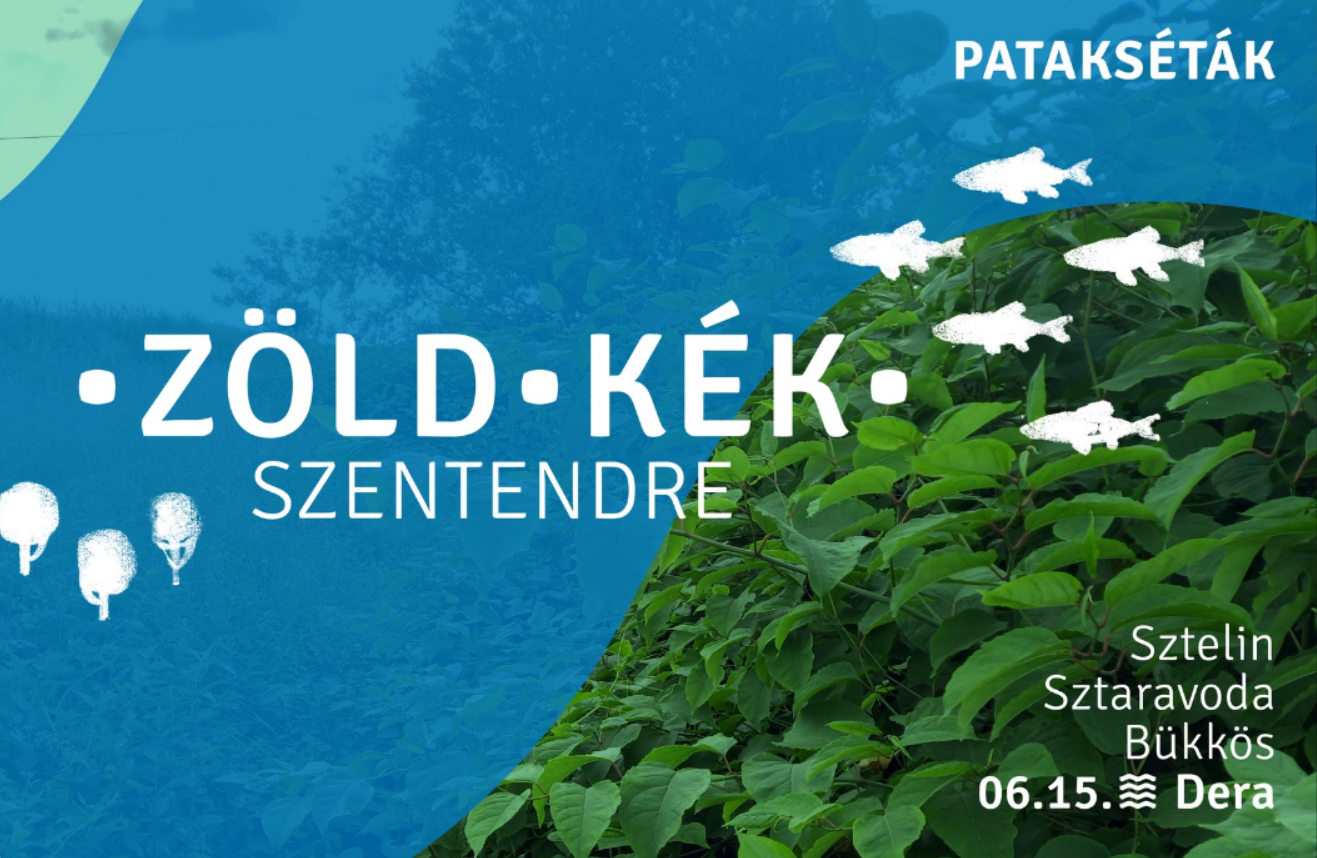 Képernyőkép 2024-06-10 151104
