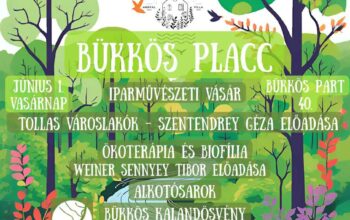 Bükkös Placc