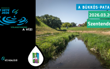 Kiállítás a Bükkös-patakról