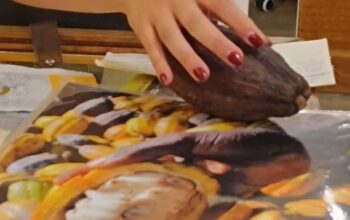 Fűszerek, ízek, csokoládé | Kóstoló