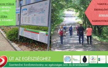 Vezetett belvárosi kardiotúra