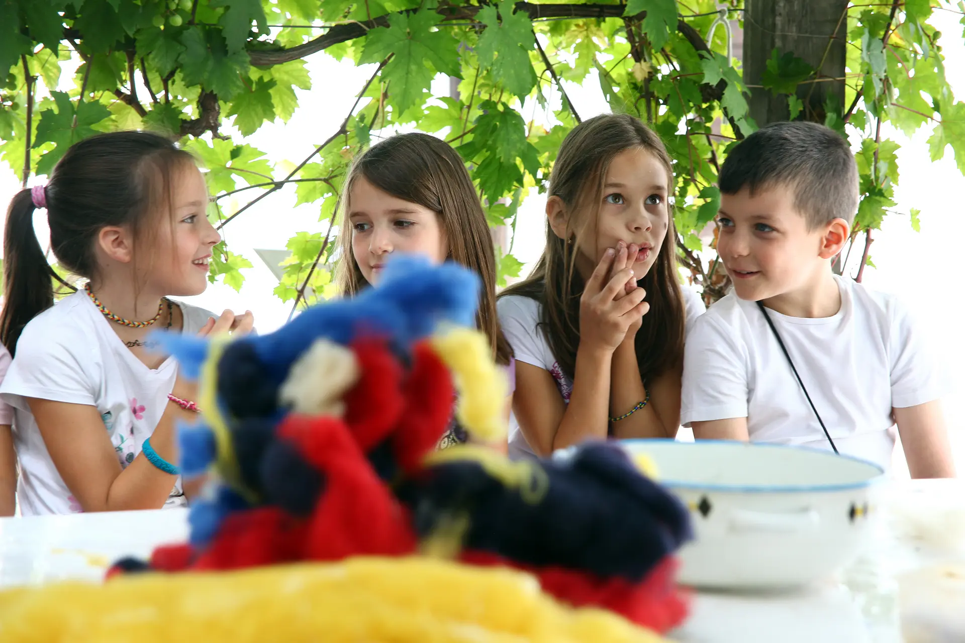 Örökzöld heted7 nyári napközis táborok 2026. Skanzen