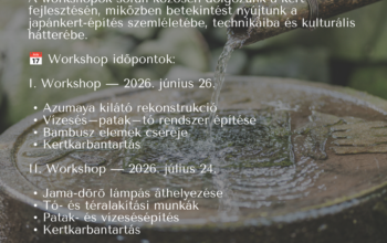 Japánkerti workshop