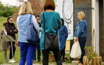 Ingyenes vasárnapi tárlatvezetés július 26-án a Skanzenben