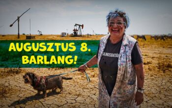 Sajnosbatár bemutatja: Kékhajú nénik országos találkozója // Barlang