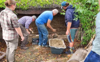 Parasztházak karbantartása workshop 2026 ősz