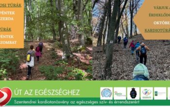 Vezetett Kardiotúrák októberben